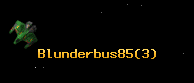 Blunderbus85