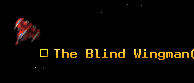 The Blind Wingman