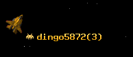 dingo5872