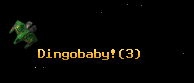 Dingobaby!