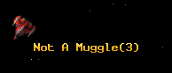 Not A Muggle