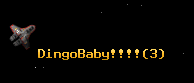 DingoBaby!!!!