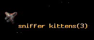 sniffer kittens