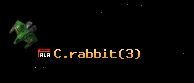 C.rabbit