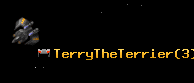 TerryTheTerrier