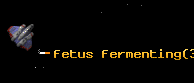 fetus fermenting