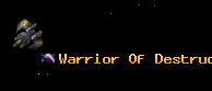 Warrior Of Destructi