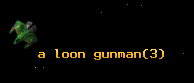 a loon gunman