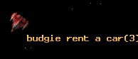 budgie rent a car