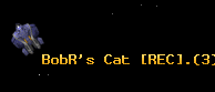BobR's Cat [REC].