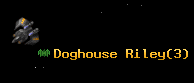 Doghouse Riley