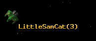 LittleSamCat
