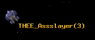 THEE_Assslayer