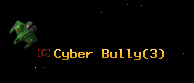 Cyber Bully