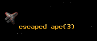 escaped ape