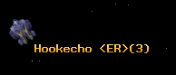 Hookecho <ER>