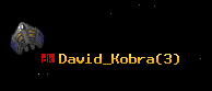 David_Kobra