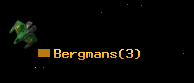 Bergmans