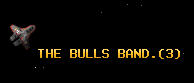 THE BULLS BAND.