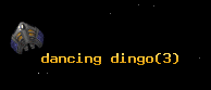 dancing dingo