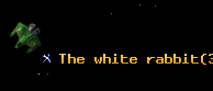 The white rabbit