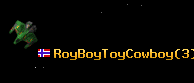 RoyBoyToyCowboy