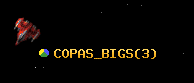 COPAS_BIGS