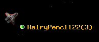 HairyPencil22