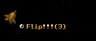 Flip!!!
