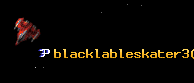blacklableskater3