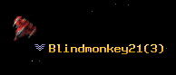 Blindmonkey21