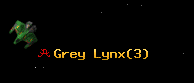 Grey Lynx
