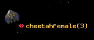 cheetahfemale