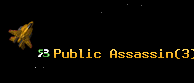 Public Assassin
