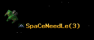 SpaCeNeedLe