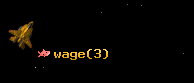 wage