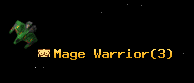 Mage Warrior