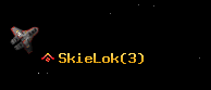 SkieLok