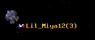 Lil_Miya12