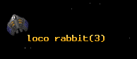 loco rabbit