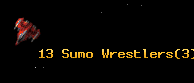13 Sumo Wrestlers