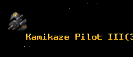 Kamikaze Pilot III