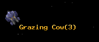 Grazing Cow