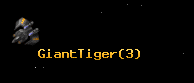 GiantTiger