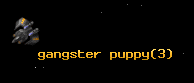 gangster puppy