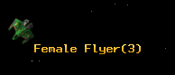 Female Flyer