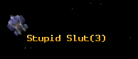 Stupid Slut