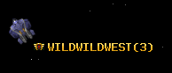 WILDWILDWEST