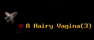 A Hairy Vagina