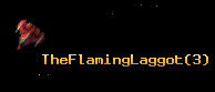 TheFlamingLaggot